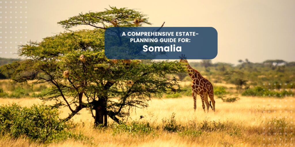 Estate Planning in Somalia